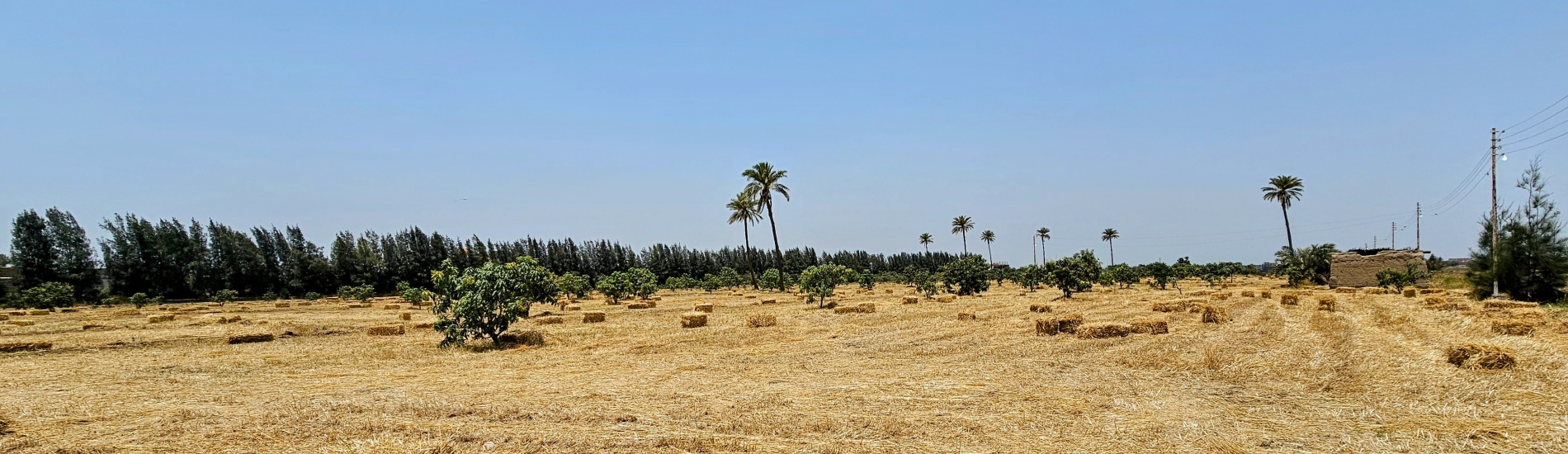 BUCRA: Construyendo Unidad para una Agricultura Resiliente al Clima