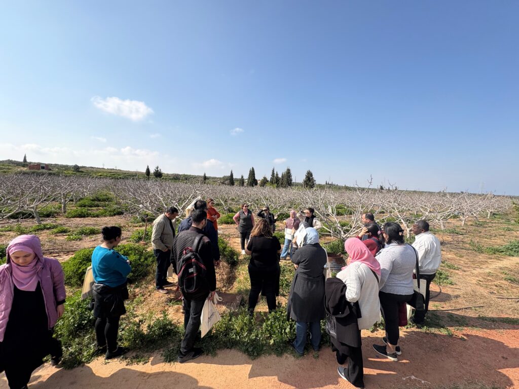 Field trip to the BONEX Demonstration Project in Ouardanine, Tunisia. 